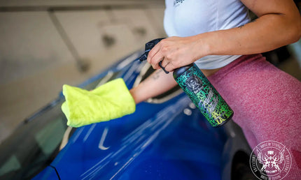 Paint Protection